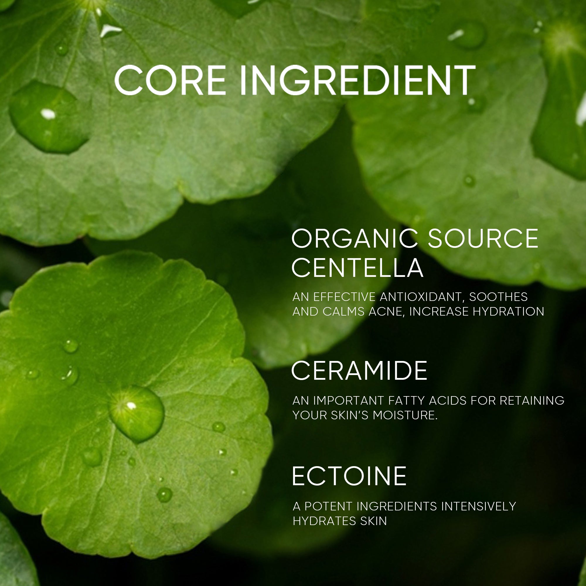 Pure Centella Acne Calming Toner 80ml for Sensitive & Acne-Prone Skin