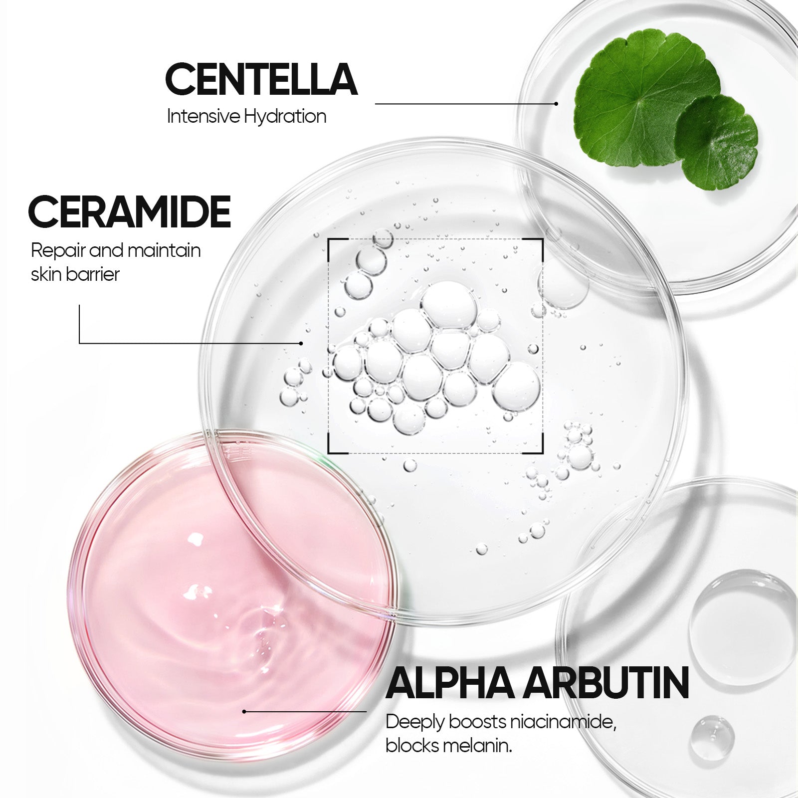 10% Niacinamide Brightening Serum